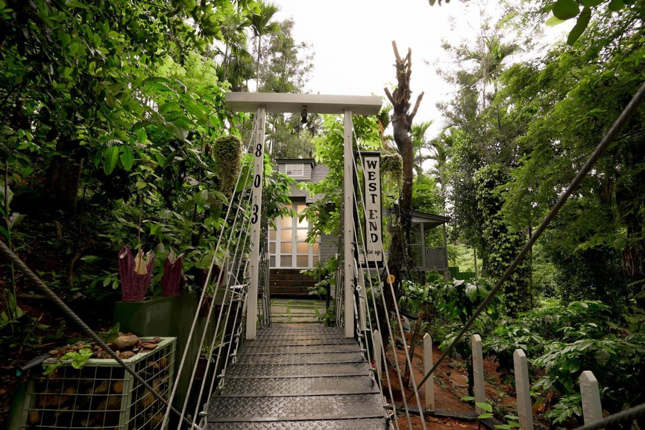 Вилла Iron Bridge Cove Meppadi Экстерьер фото