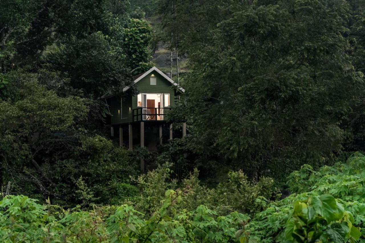 Вилла Iron Bridge Cove Meppadi Экстерьер фото